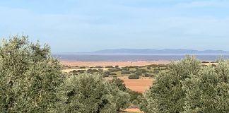 ¿Se construirá la presa de Castillo de Montizón, en Ciudad Real?