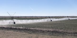 Publican oficialmente los recortes en las dotaciones para riego de la Masa de Agua Subterránea Mancha Occidental I