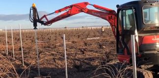 Reestructurando viña en La Mancha