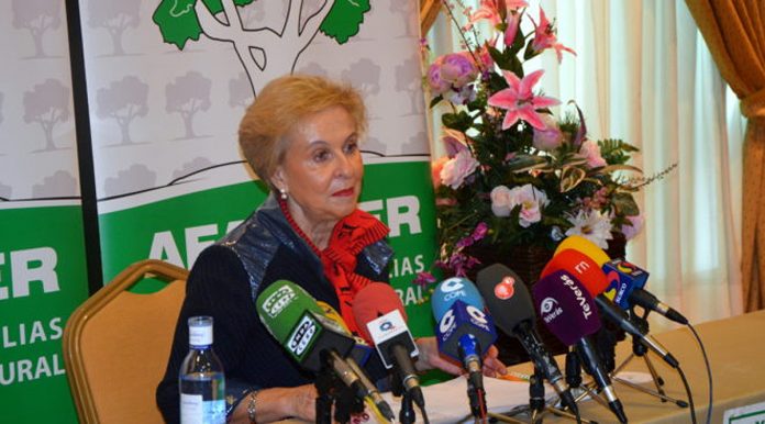 quintanilla afammer balance