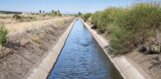 Cooperativas Agro-alimentarias Castilla-La Mancha demanda agua para la producción de alimentos regadío