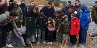 Sueltan dos nuevos linces ibéricos en Castilla-La Mancha