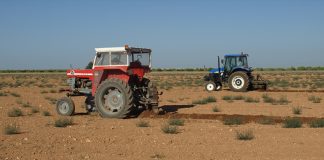 El Gobierno prohíbe la utilización para actividades agrícolas de vehículos históricos (de más de 30 años) tractores
