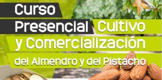 Curso sobre el cultivo y la comercialización del almendro y del pistacho