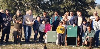 Castilla-La Mancha liberará ocho linces ibéricos en primeros meses de 2020