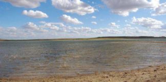 Piden que investiguen qué está ocurriendo con expedientes transformación de regadíos