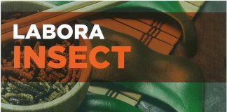 Albacete acogerá un curso de formación de cría de insectos, para desempleados