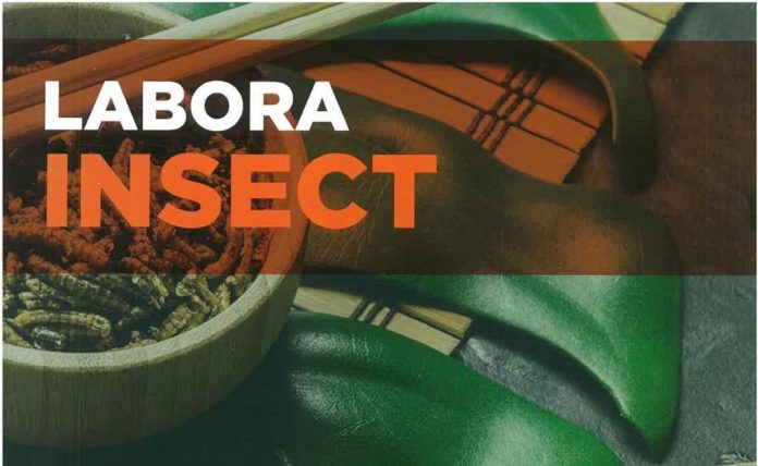 1582566417_Proteinsecta_imparte_el_primer_curso_de_insecticultura 2