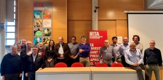 Ponen orden en la clasificación de variedades de almendra española