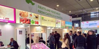 Apoya presencia del sector hortofrutícola en Fruit Logística 2020, de Berlín