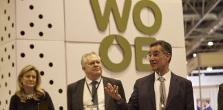 ENTREVISTA. “El equilibrio entre demanda y consumo en sector del aceite de oliva evitará tensiones con el precio”