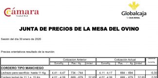 Lonja de Ciudad Real. Ovino. 30-enero-2020