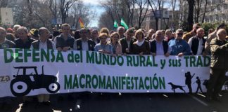 Por dignidad y justicia. Carmen Quintanilla. Presidenta nacional de AFAMMER