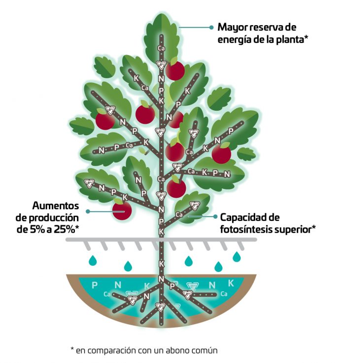 Nueva tecnología EON copia
