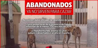 No es país para galgos. IU Castilla-La Mancha