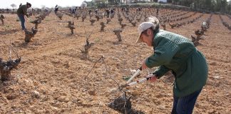 Incremento de titularidad compartida, clave para el futuro de explotaciones familiares