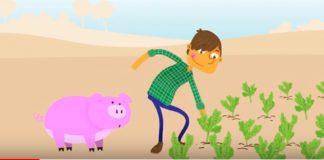 VÍDEO: UPA acerca el trabajo de agricultores a escolares con Isidrín