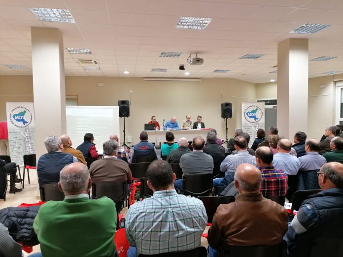 jornada mancha occ I