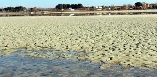 Cadena humana en defensa del agua y los humedales manchegos