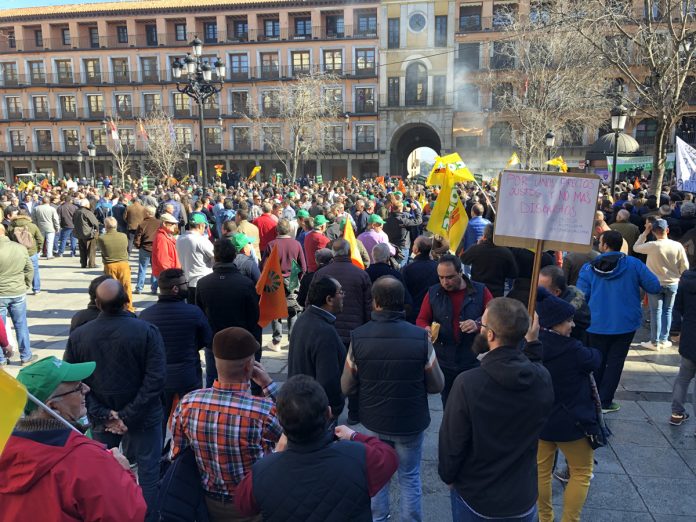 manifa 4 febrero 2020 2