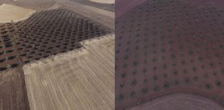 ¿Cuánto sabes de teledetección? La tecnología que más está creciendo para facilitar el abonado, optimizar y ahorrar en riego y gestionar plagas en tus cultivos