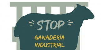 Denuncian el impacto ambiental y social de la ganadería industrial porcina
