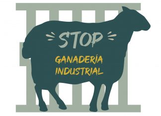 Denuncian el impacto ambiental y social de la ganadería industrial porcina