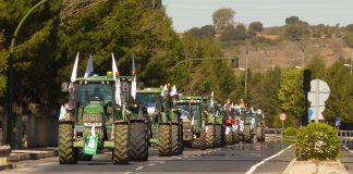 ¿Seguirán los agricultores españoles las movilizaciones de los alemanes? tractorada