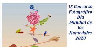 Humedales llenos de vida, lema Concurso Nacional de Fotografía de Villarrubia