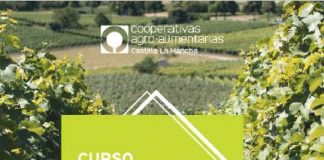 10 a 14 febrero. Miguelturra (Ciudad Real). Curso modernización explotaciones de viñedo