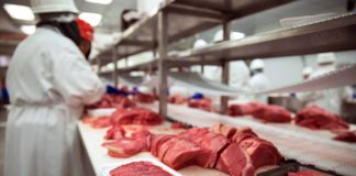 ANICE: Disponibilidad de carne y productos cárnicos garantizada carne