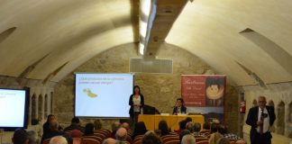 Varroa, escarabajo de colmena o nosemosis, en Feria Apícola de Pastrana