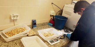 Nace Domo Pistachio, agrupación productores de pistacho de Villacañas y Manzanares