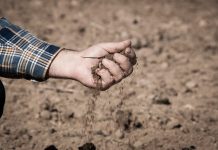 Agricultores y ganaderos reclaman menos burocracia sobre la deforestación suelos