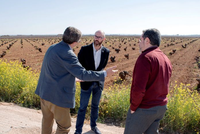 Pedro Ángel Jimenez02