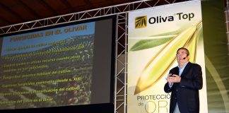 Nueva tecnología de sanidad vegetal para contribuir a sostenibilidad del olivar