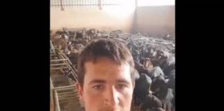 VÍDEO: Agricultores y ganaderos animan a quedarse en casa mientras ellos trabajan