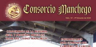AGRAMA publica el número 57 de su revista ‘Consorcio Manchego’
