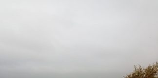 El Ayuntamiento de Socuéllamos contratará un guarda rural