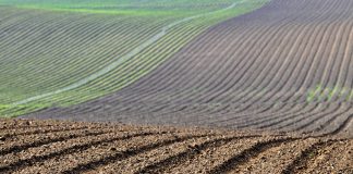 ¿Qué ayudas se podrán pedir en la PAC 2021 y 2022?