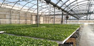 Habrá 1,5 millones para proyectos piloto innovadores en el sector agroalimentario