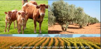 ¿Cuánto ha percibido cada provincia del anticipo de la PAC?