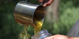 Reclama al Ministerio de Agricultura medidas contra fraude en sector apícola