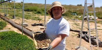 Nueva PAC, una oportunidad para integrar a más mujeres en agricultura