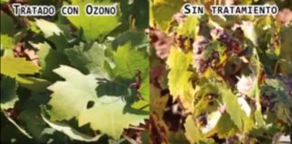 VÍDEO: Aplicaciones del ozono en agricultura