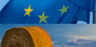 Ministro de Agricultura detalla medidas CE para sector primario por coronavirus