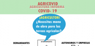 Ponen en marcha servicio municipal para facilitar trabajadores para campañas agrícolas
