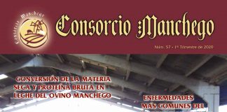 Estudio muestra posibles mejoras para la eficiencia alimentaria en raza Manchega