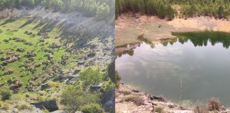 Gran recuperación de una laguna conquense en diez meses