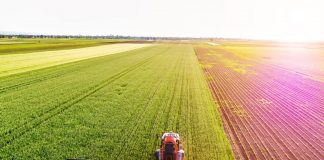 Fenacore reivindica papel de agricultura en la reconstrucción de España